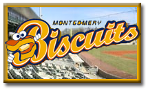 biscuits